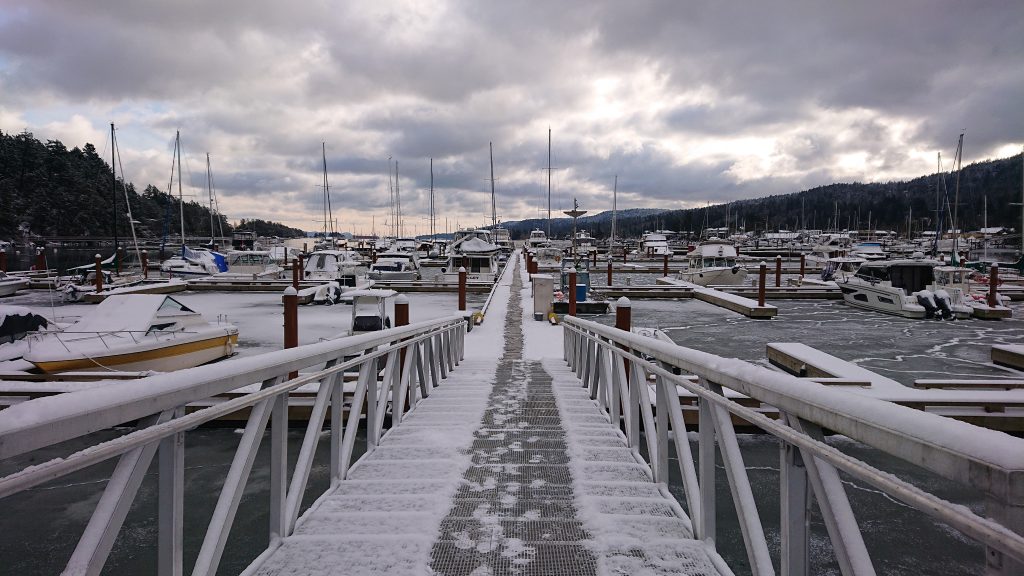 Happy New Year 2022!